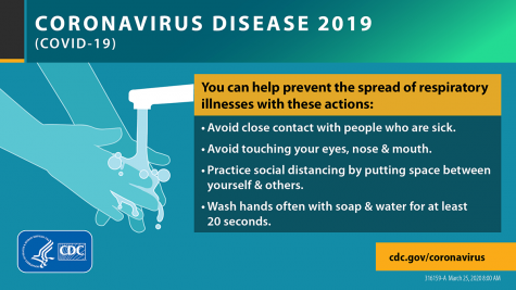 Graphic released by the CDC (Centers for Disease Control and Prevention).